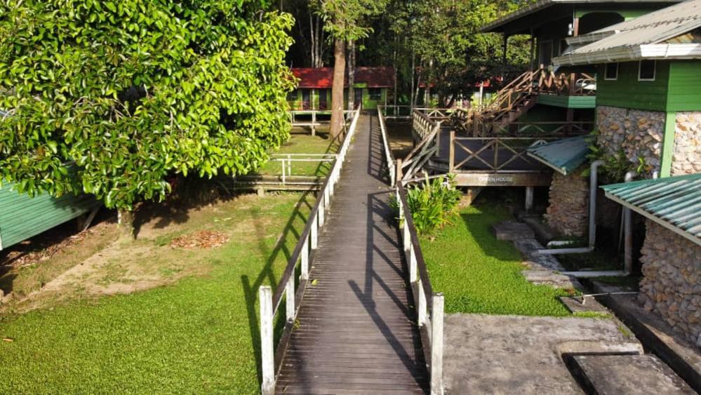 Sukau Greenview Bed & Breakfast Ngoại thất bức ảnh