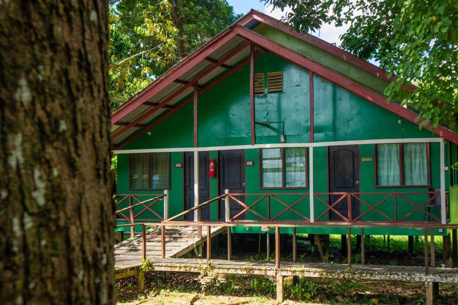 Sukau Greenview Bed & Breakfast Ngoại thất bức ảnh