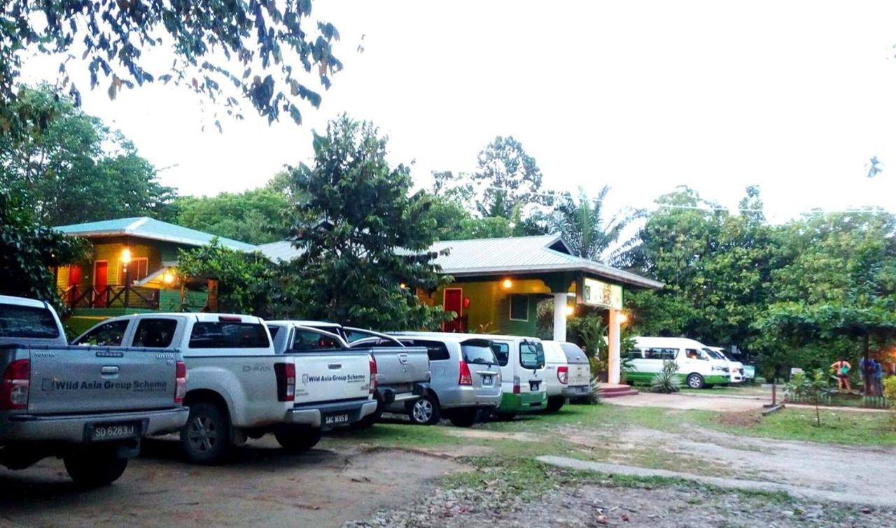Sukau Greenview Bed & Breakfast Ngoại thất bức ảnh